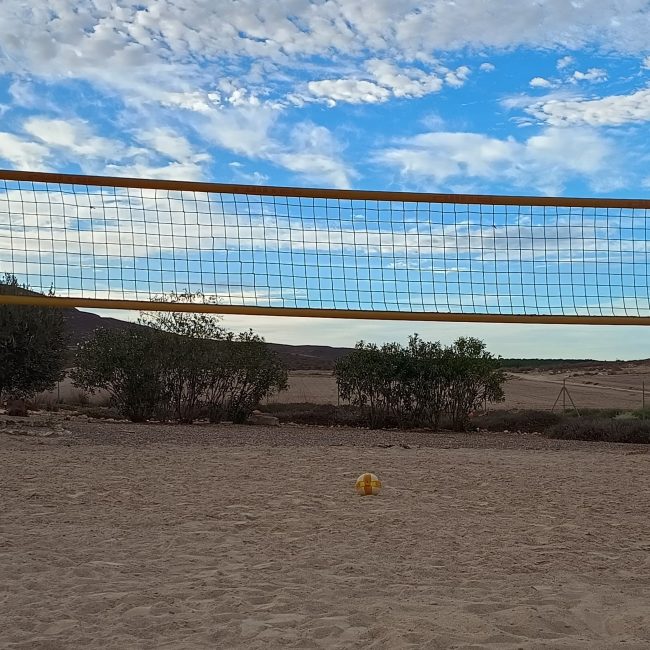 tuin5 volley